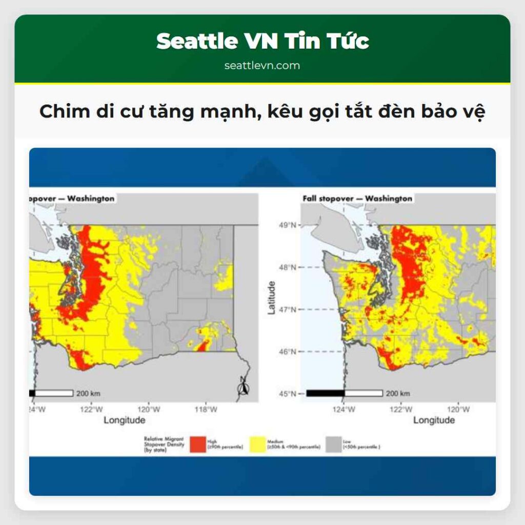 Chim di cư tăng mạnh, kêu gọi tắt đèn bảo vệ