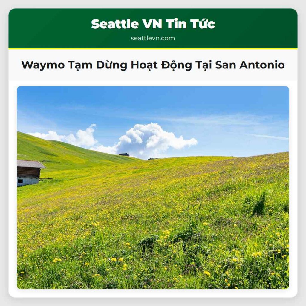 Waymo Tạm Dừng Hoạt Động Tại San Antonio