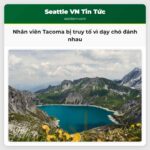 Nhân viên Tacoma bị truy tố vì dạy chó đánh nhau