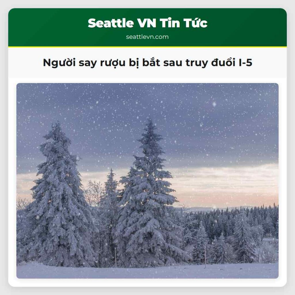 Người say rượu bị bắt sau truy đuổi I-5