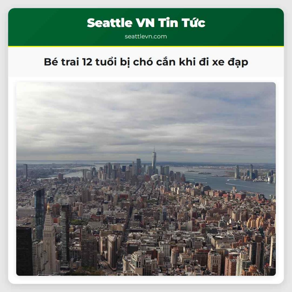 Bé trai 12 tuổi bị chó cắn khi đi xe đạp