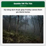 Kỹ năng dịch thuật giúp Freddy Llanos tham gia World Series