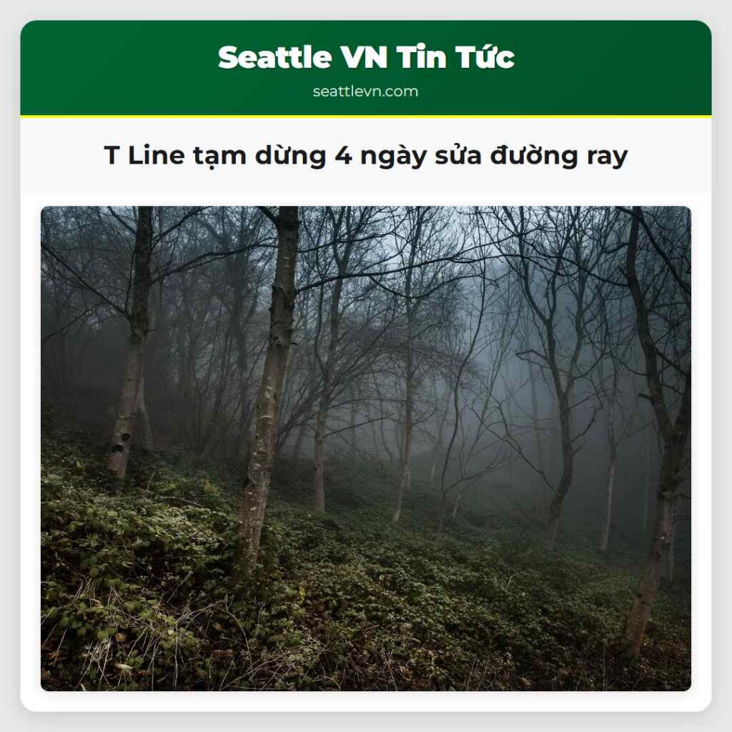 T Line tạm dừng 4 ngày sửa đường ray