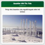 Thủy thủ Seattle cứu người kayak trên hồ Union