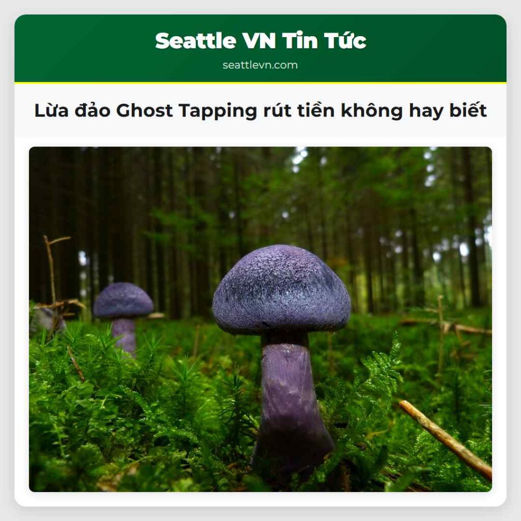 Lừa đảo Ghost Tapping rút tiền không hay biết