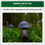 Lừa đảo Ghost Tapping rút tiền không hay biết