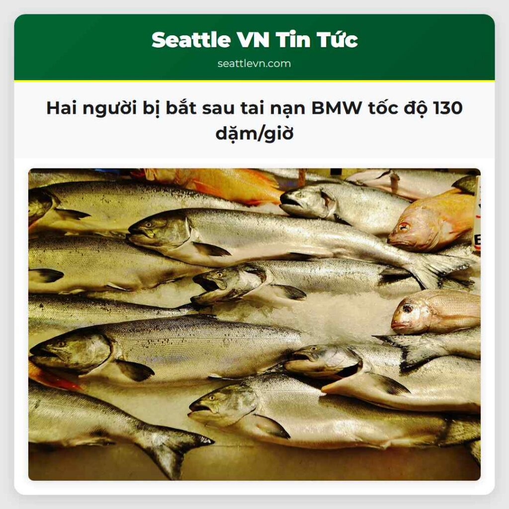 Hai người bị bắt sau tai nạn BMW tốc độ 130