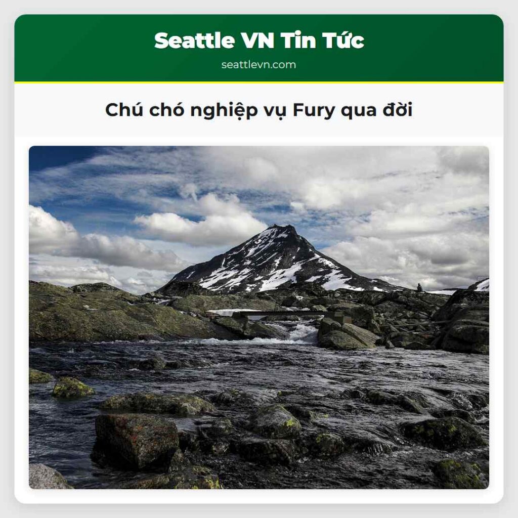 Chú chó nghiệp vụ Fury qua đời