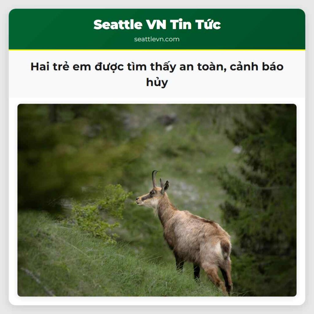 Hai trẻ em được tìm thấy an toàn, cảnh báo hủy