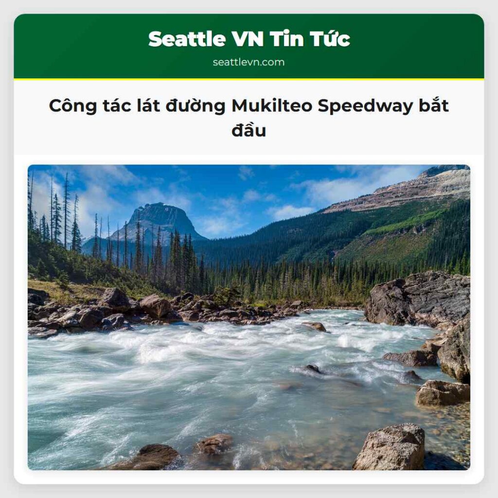 Công tác lát đường Mukilteo Speedway bắt đầu