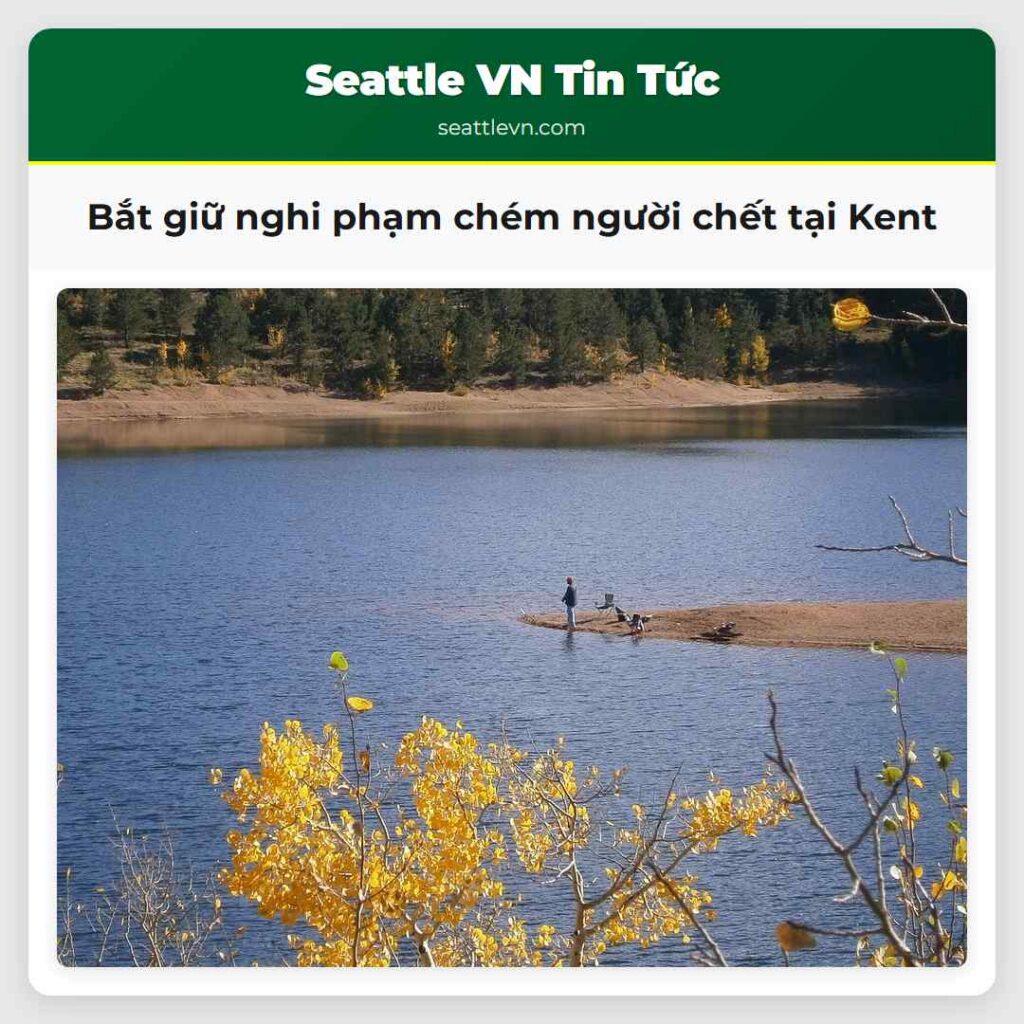 Bắt giữ nghi phạm chém người chết tại Kent