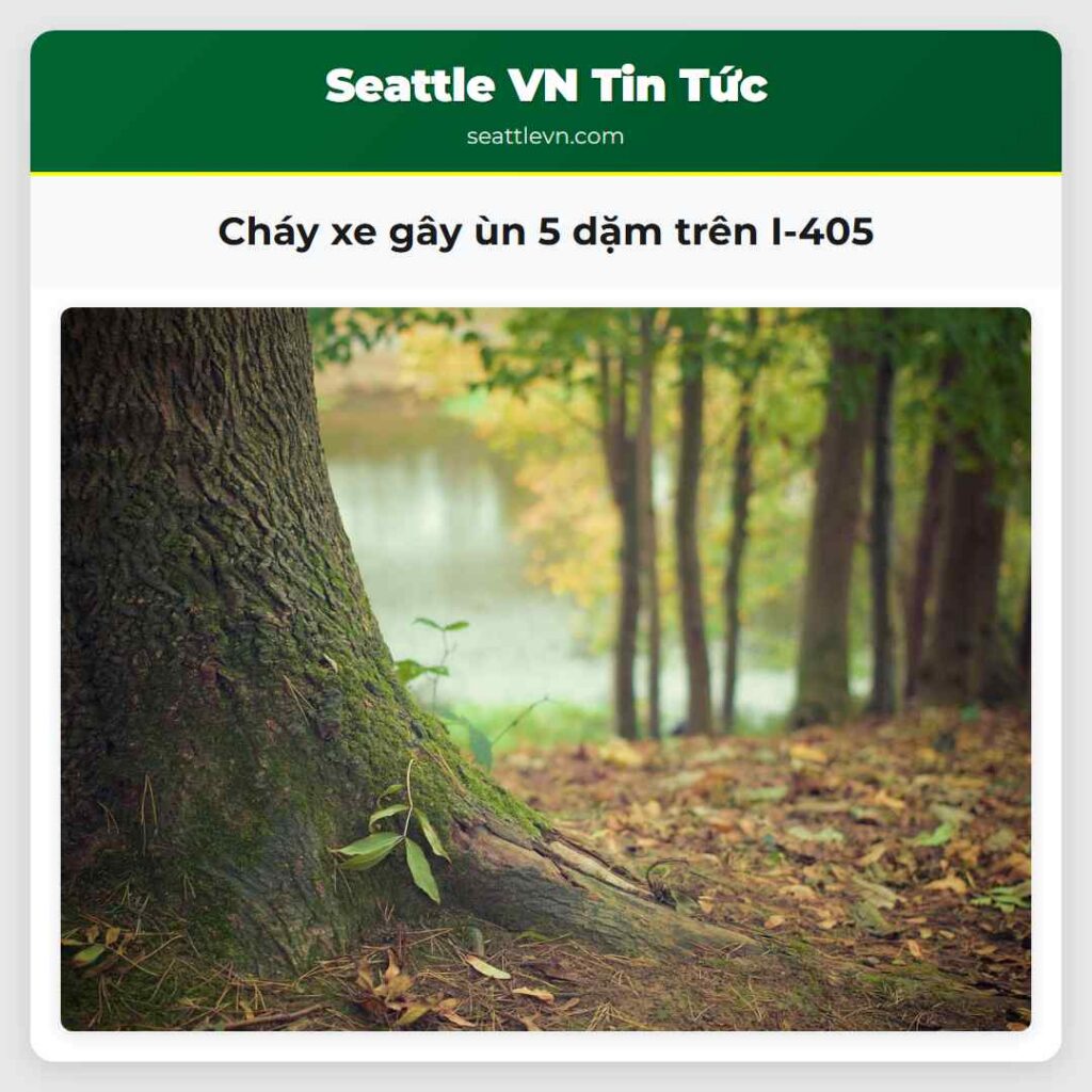 Cháy xe gây ùn 5 dặm trên I-405