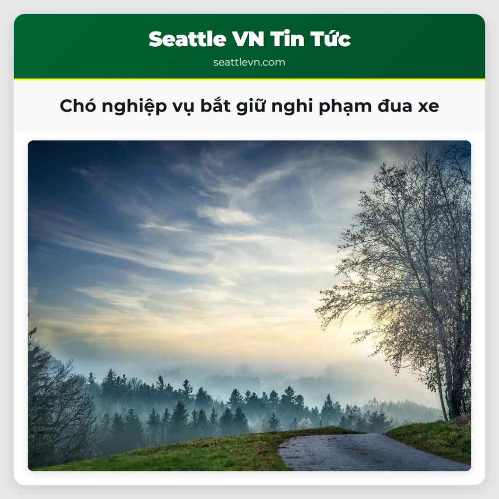 Chó nghiệp vụ bắt giữ nghi phạm đua xe