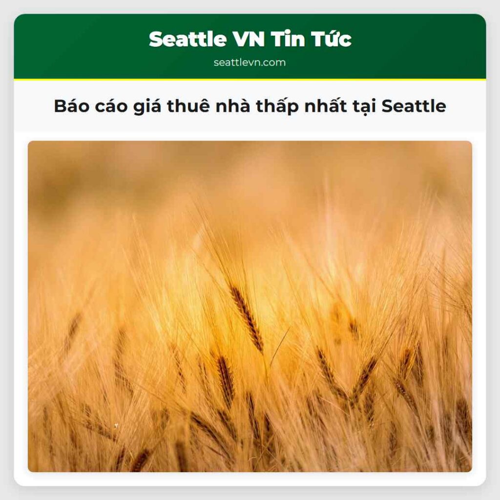 Báo cáo giá thuê nhà thấp nhất tại Seattle