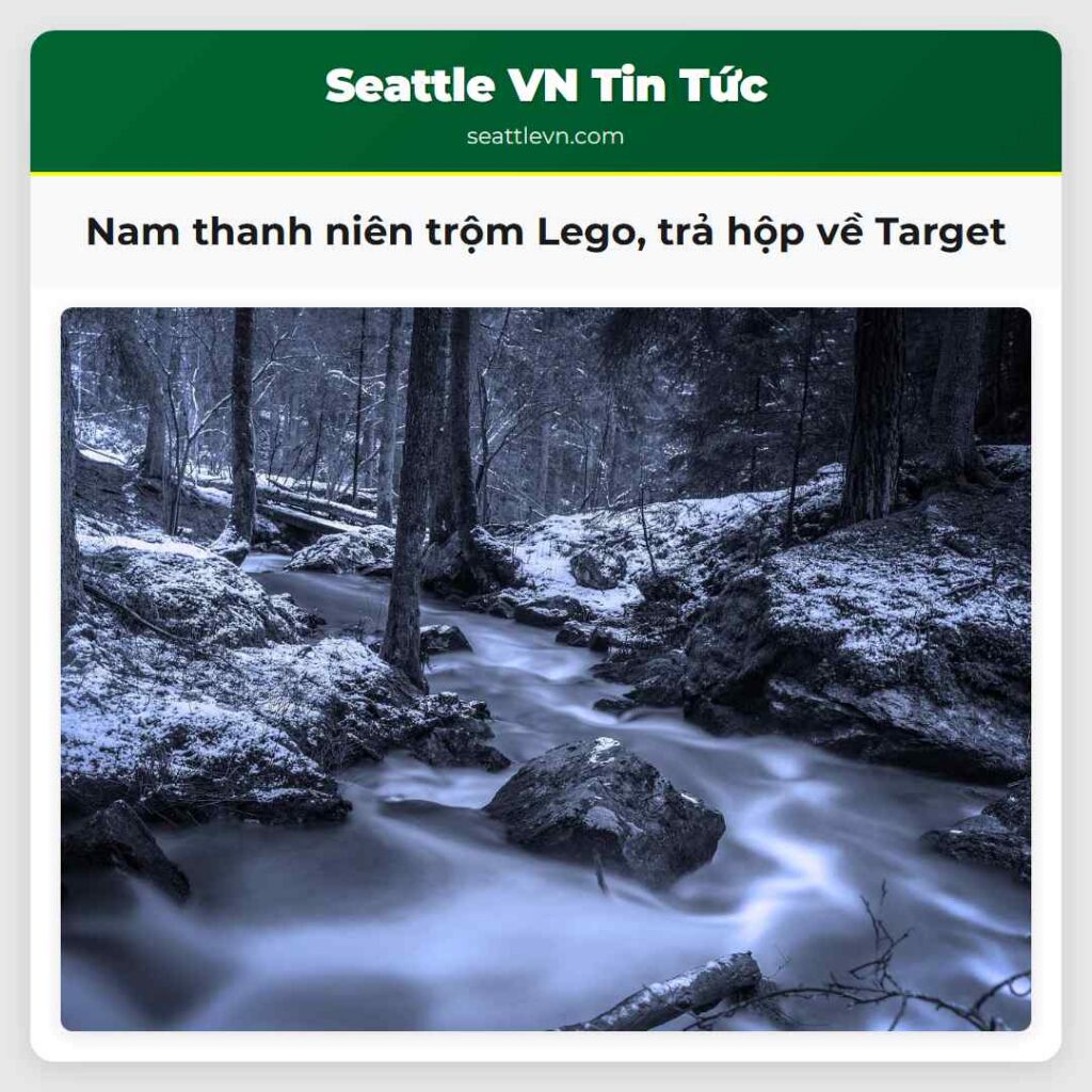 Nam thanh niên trộm Lego, trả hộp về Target