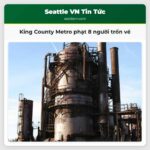 King County Metro phạt 8 người trốn vé