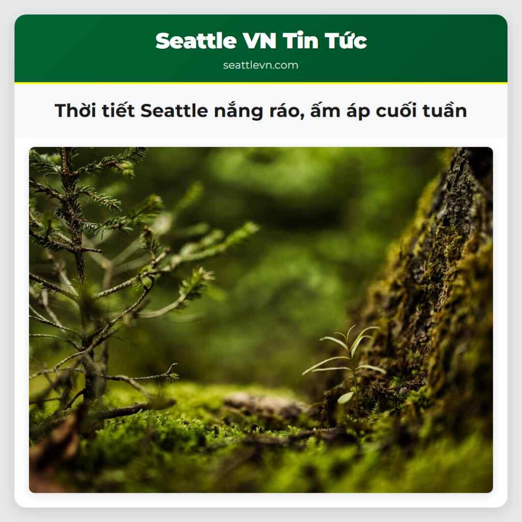 Thời tiết Seattle nắng ráo, ấm áp cuối tuần