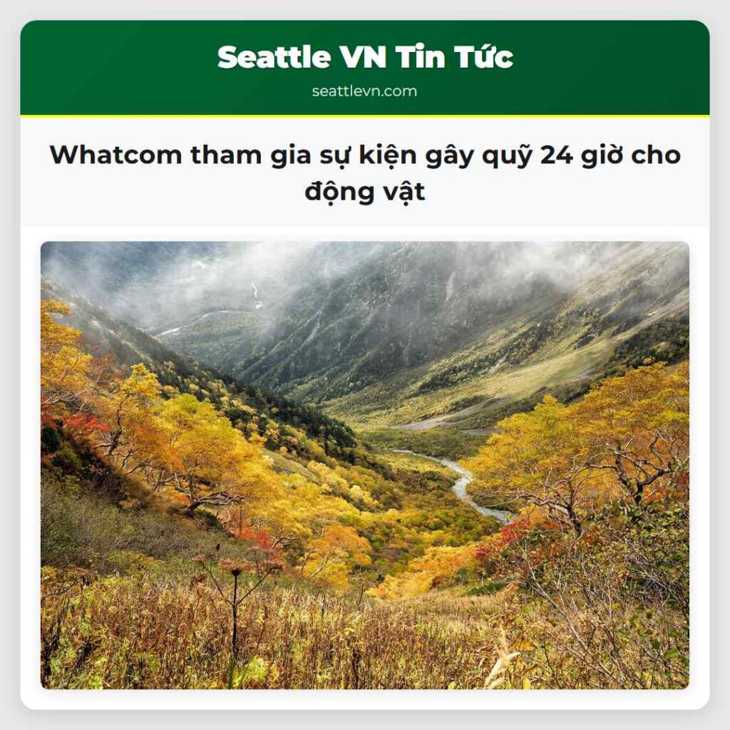 Whatcom tham gia sự kiện gây quỹ 24 giờ cho động