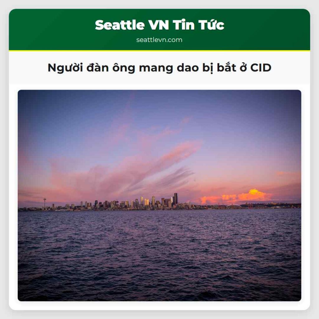 Người đàn ông mang dao bị bắt ở CID