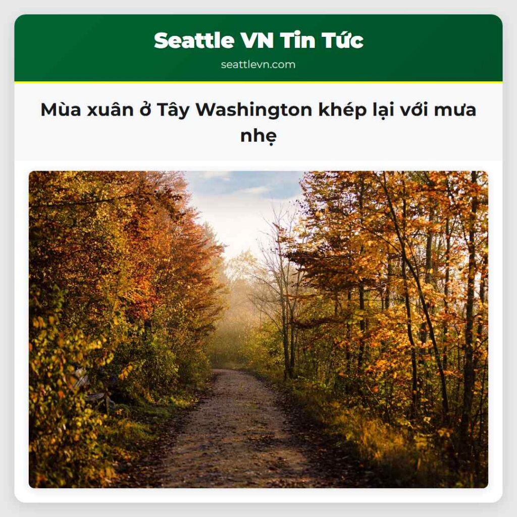 Mùa xuân ở Tây Washington khép lại với mưa nhẹ