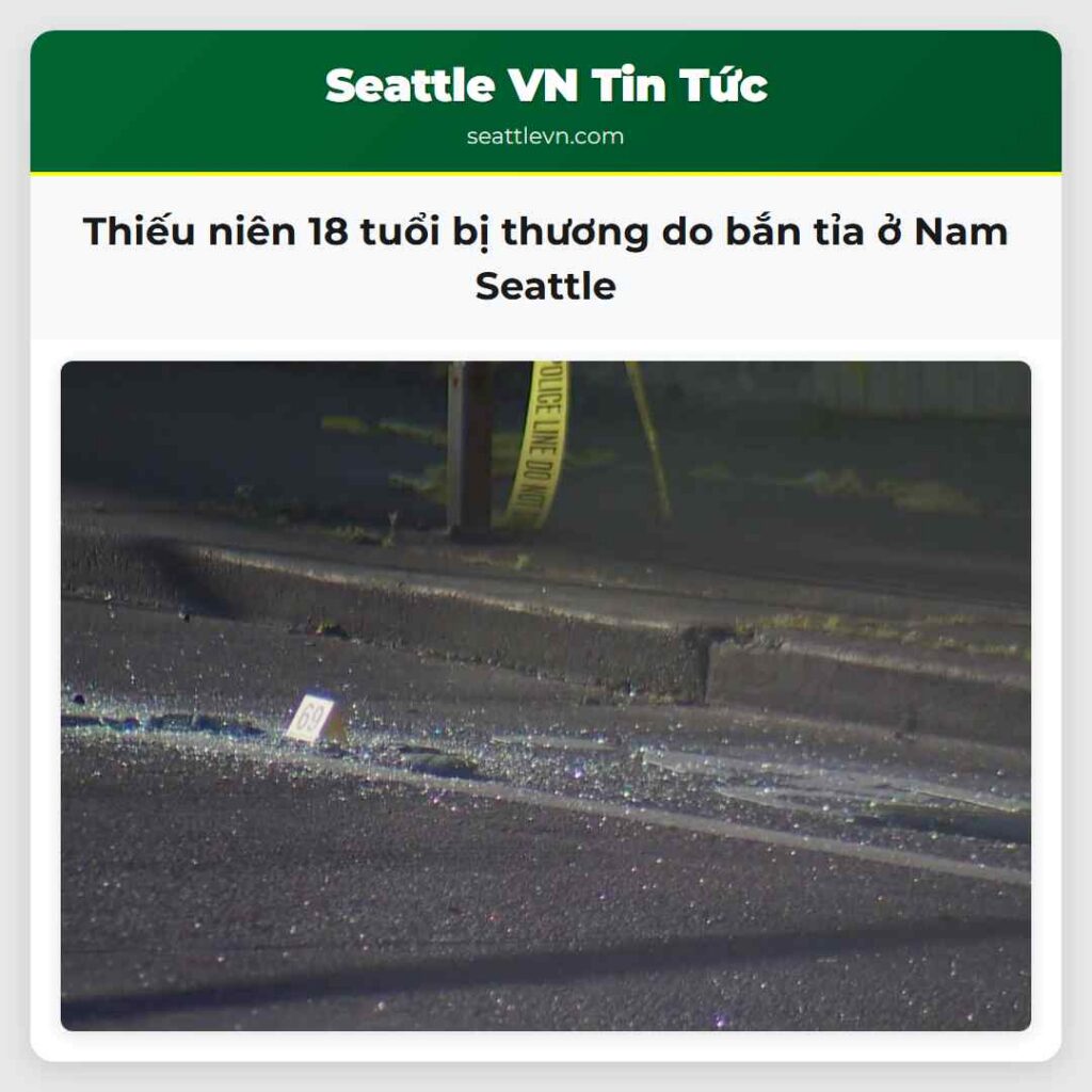 Thiếu niên 18 tuổi bị thương do bắn tỉa ở Nam