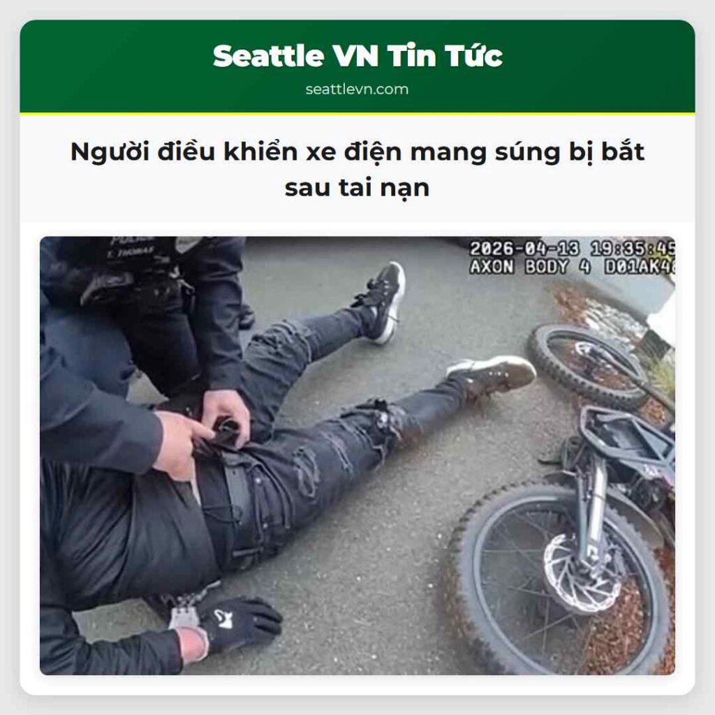 Người điều khiển xe điện mang súng bị bắt sau tai