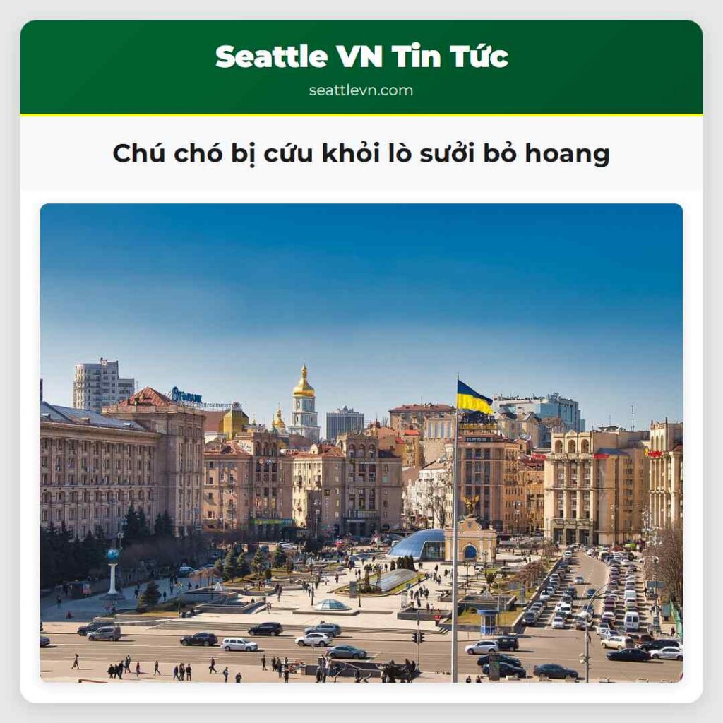 Chú chó bị cứu khỏi lò sưởi bỏ hoang