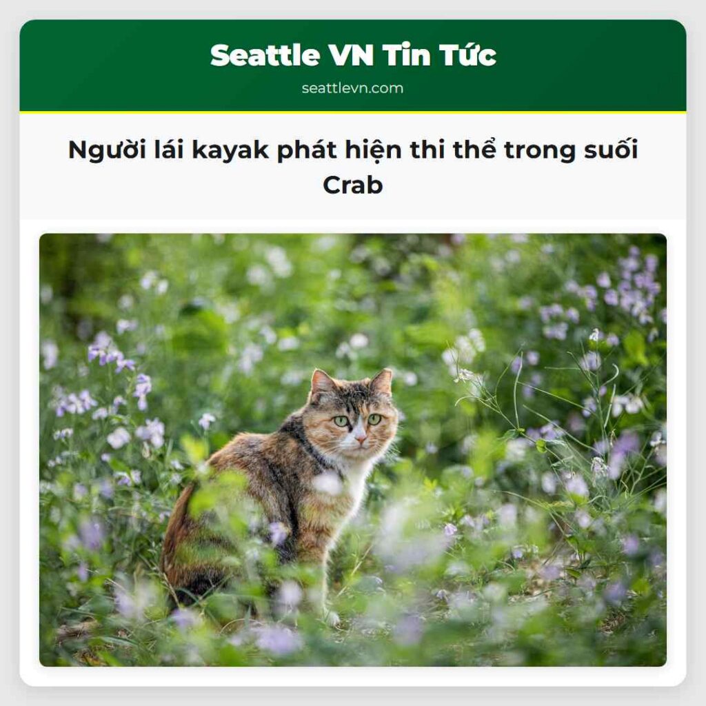 Người lái kayak phát hiện thi thể trong suối Crab