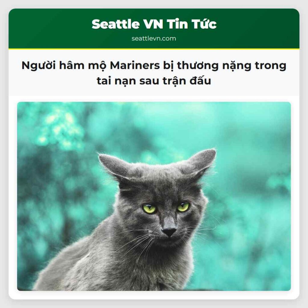 Người hâm mộ Mariners bị thương nặng trong tai