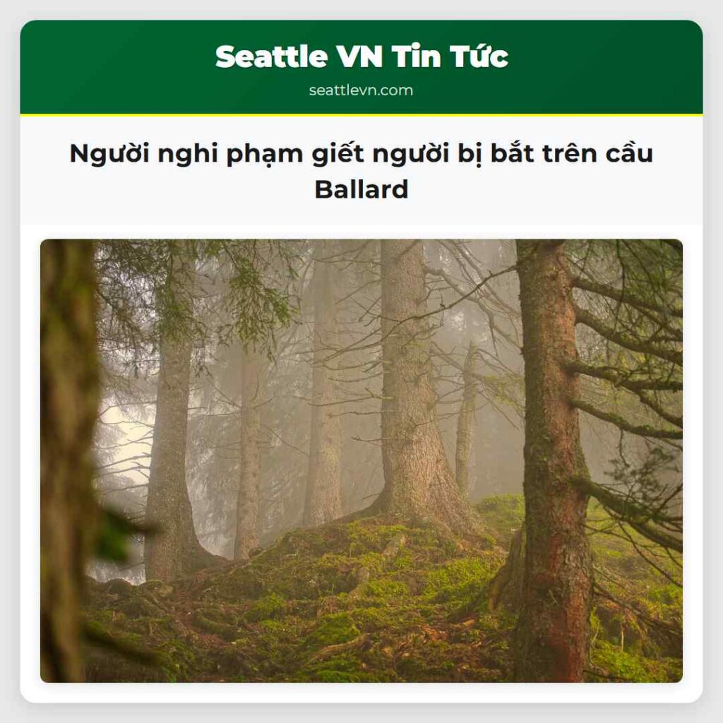 Người nghi phạm giết người bị bắt trên cầu Ballard