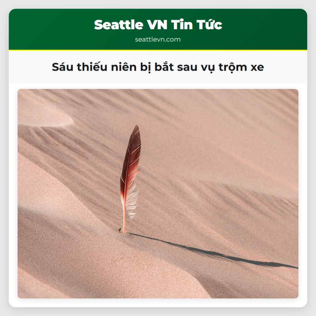 Sáu thiếu niên bị bắt sau vụ trộm xe