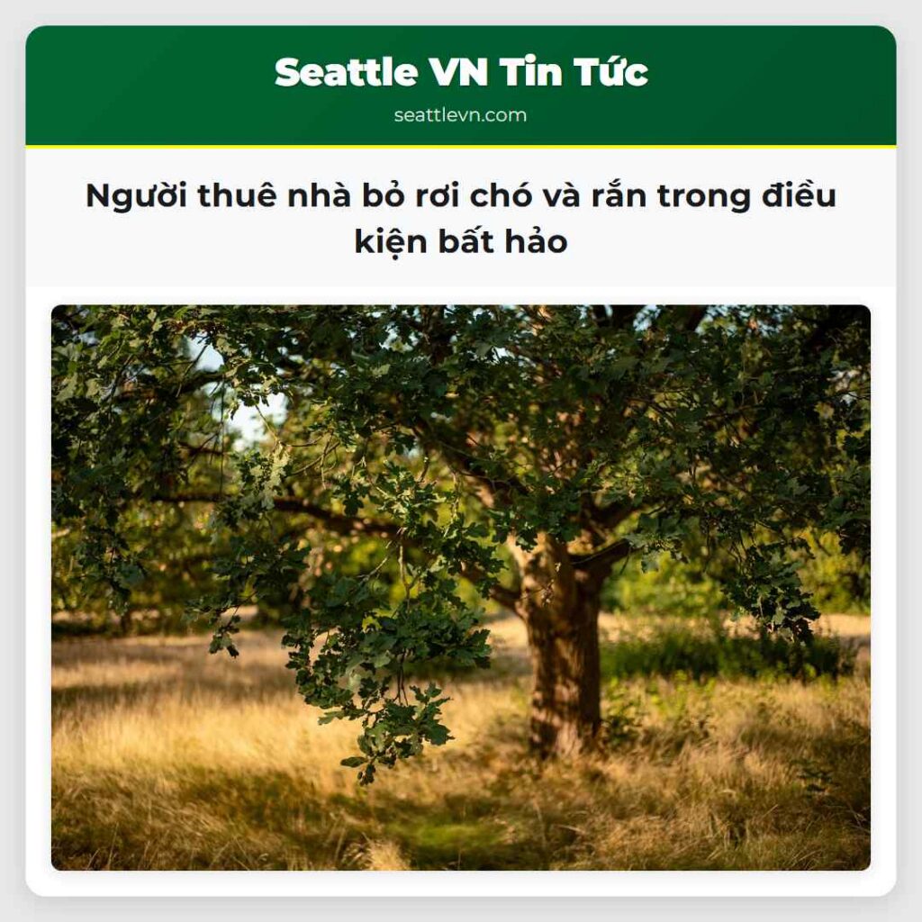 Người thuê nhà bỏ rơi chó và rắn trong điều kiện