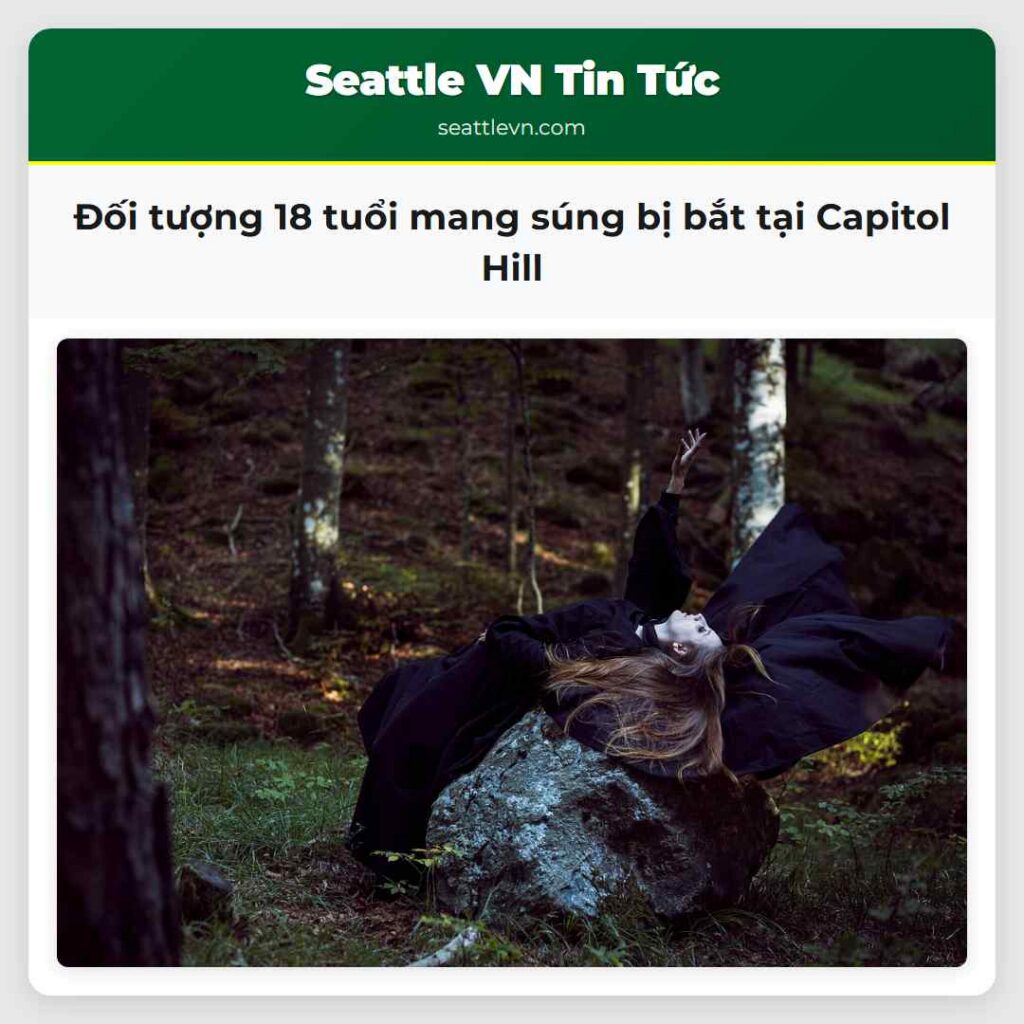 Đối tượng 18 tuổi mang súng bị bắt tại Capitol