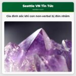 Gia đình sốc khi con non-verbal bị đón nhầm