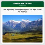 Hai Người Bị Thương Nặng Sau Tai Nạn Xe Tải Và Xe Đạp