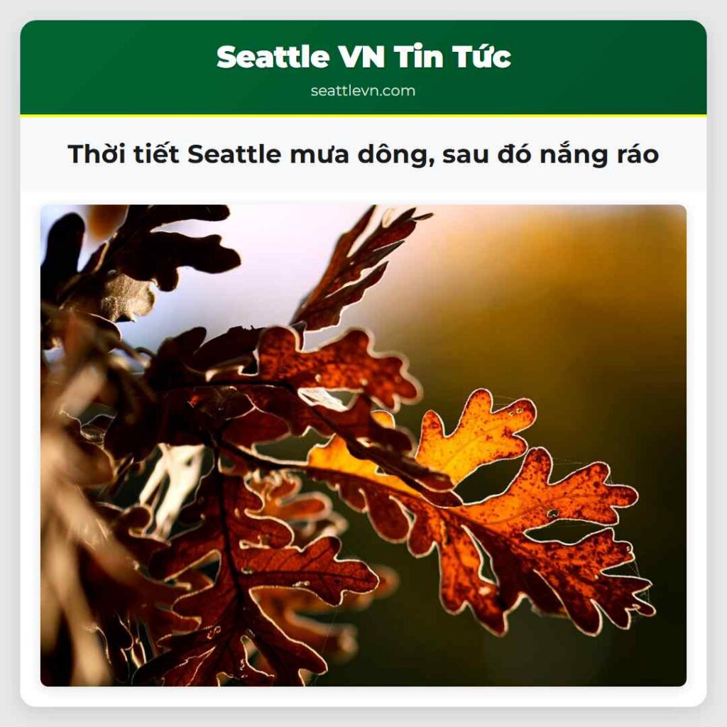 Thời tiết Seattle mưa dông, sau đó nắng ráo