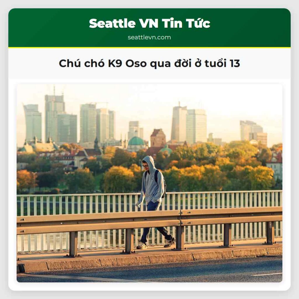 Chú chó K9 Oso qua đời ở tuổi 13