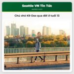 Chú chó K9 Oso qua đời ở tuổi 13