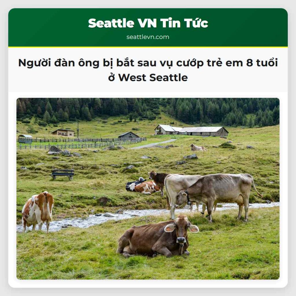 Người đàn ông bị bắt sau vụ cướp trẻ em 8 tuổi ở