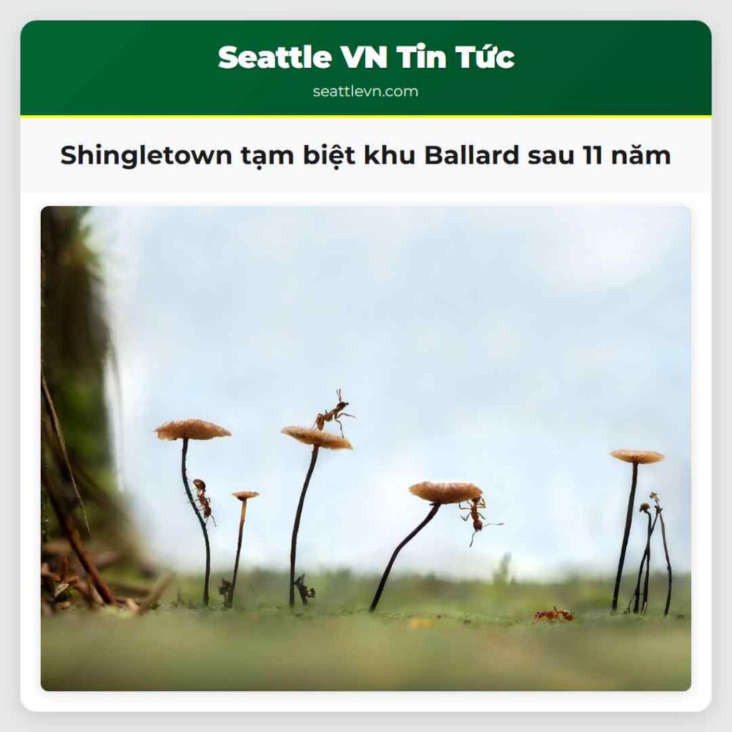 Shingletown tạm biệt khu Ballard sau 11 năm