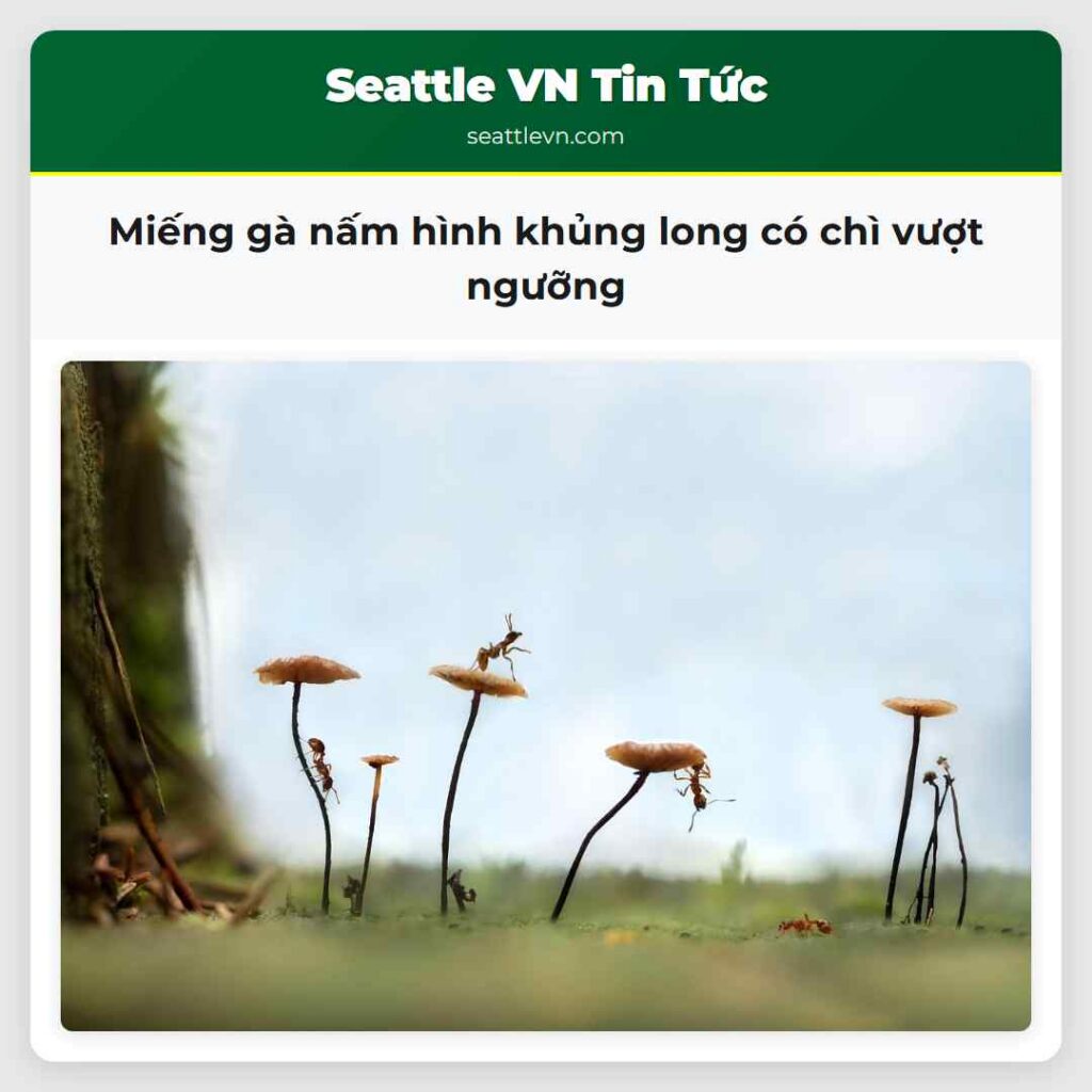 Miếng gà nấm hình khủng long có chì vượt ngưỡng