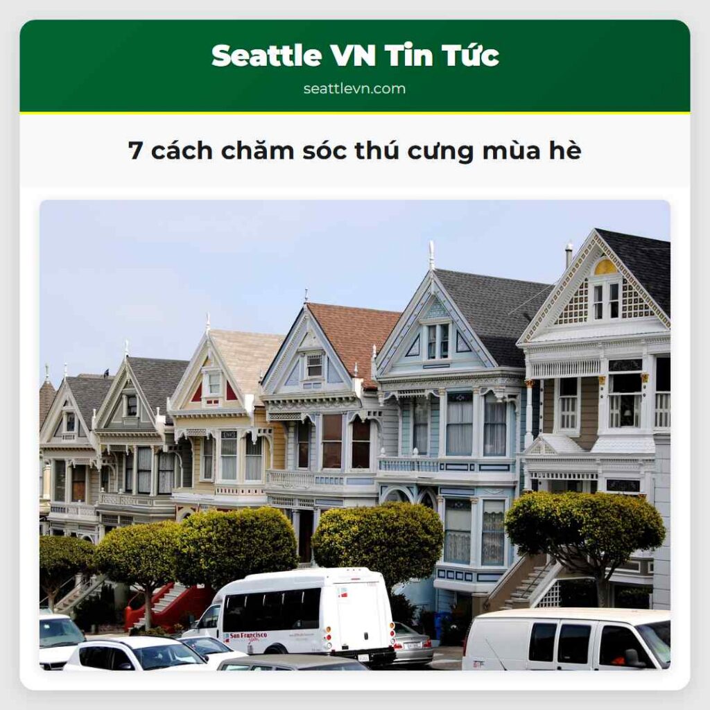 7 cách chăm sóc thú cưng mùa hè