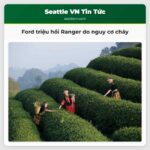 Ford triệu hồi Ranger do nguy cơ cháy