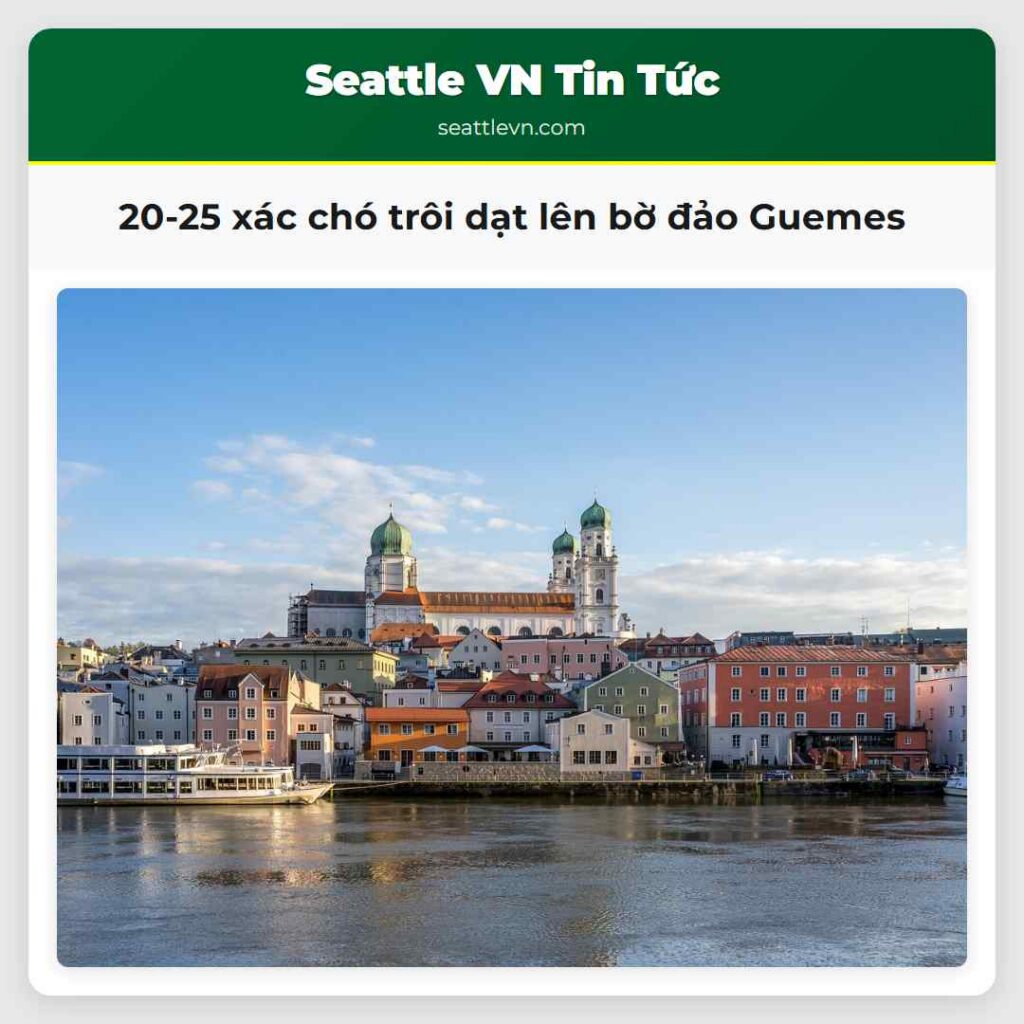 20-25 xác chó trôi dạt lên bờ đảo Guemes