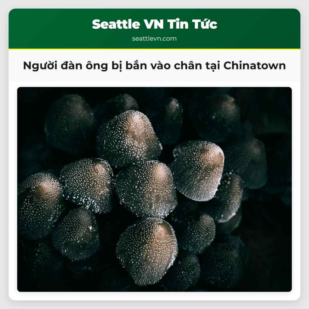 Người đàn ông bị bắn vào chân tại Chinatown