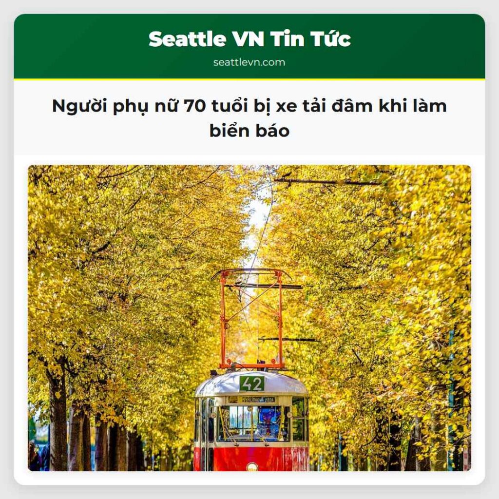 Người phụ nữ 70 tuổi bị xe tải đâm khi làm biển