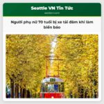 Người phụ nữ 70 tuổi bị xe tải đâm khi làm biển báo