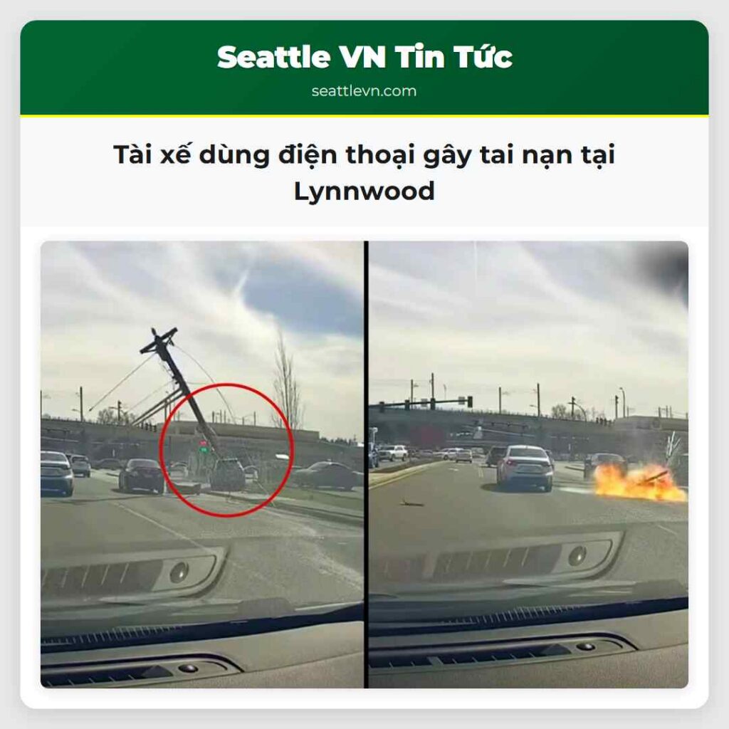 Tài xế dùng điện thoại gây tai nạn tại Lynnwood