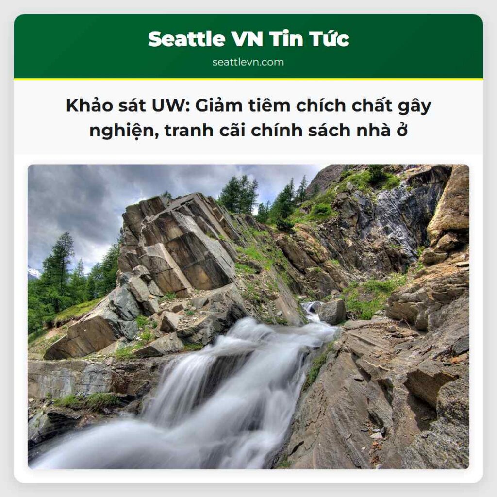 Khảo sát UW: Giảm tiêm chích chất gây nghiện,