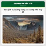 Ba người bị thương trong tai nạn tại nhà máy BP